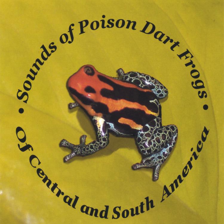 Poison Dart Frogs's avatar image