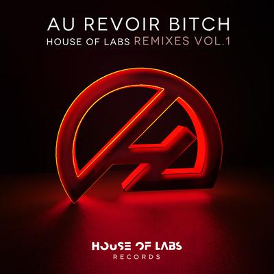 Au Revoir Bitch (Bruno Knauer Mix) By House Of Labs, Bruno Knauer's cover