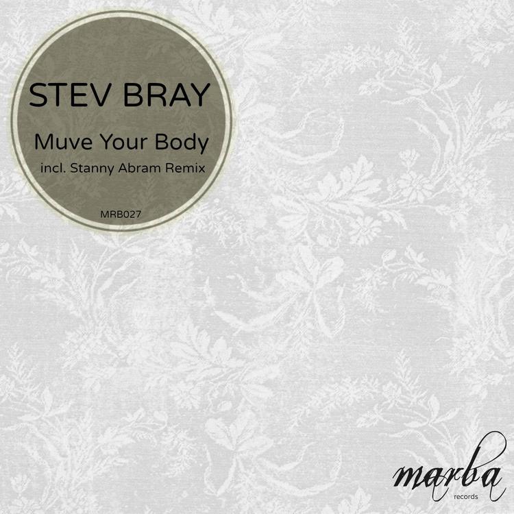 Stev Bray's avatar image