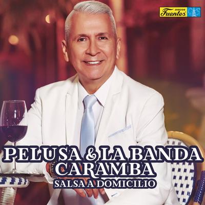 Pelusa y la Banda Caramba's cover