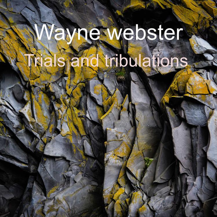 Wayne Webster's avatar image