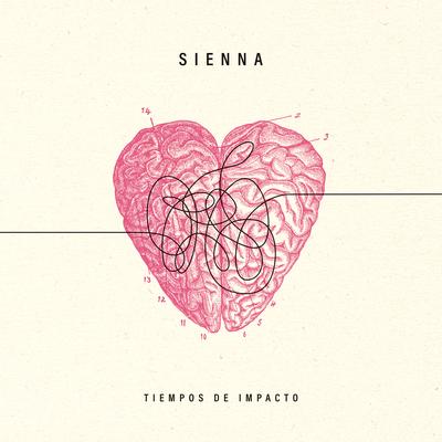 No es tu eco By Sienna's cover