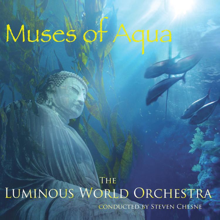 The Luminous World Orchestra (conducted By Steven Chesne)'s avatar image