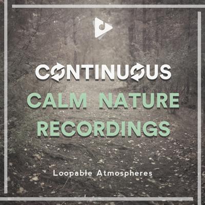 Nature Always Rocks By Loopable Atmospheres, Nature Recordings's cover