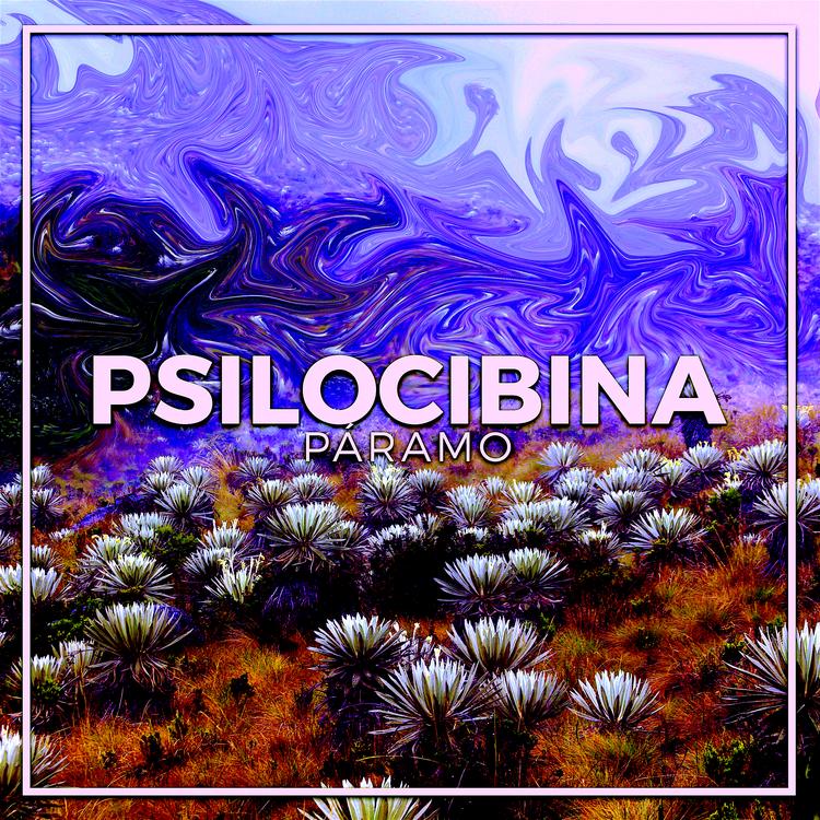 Psilocibina's avatar image