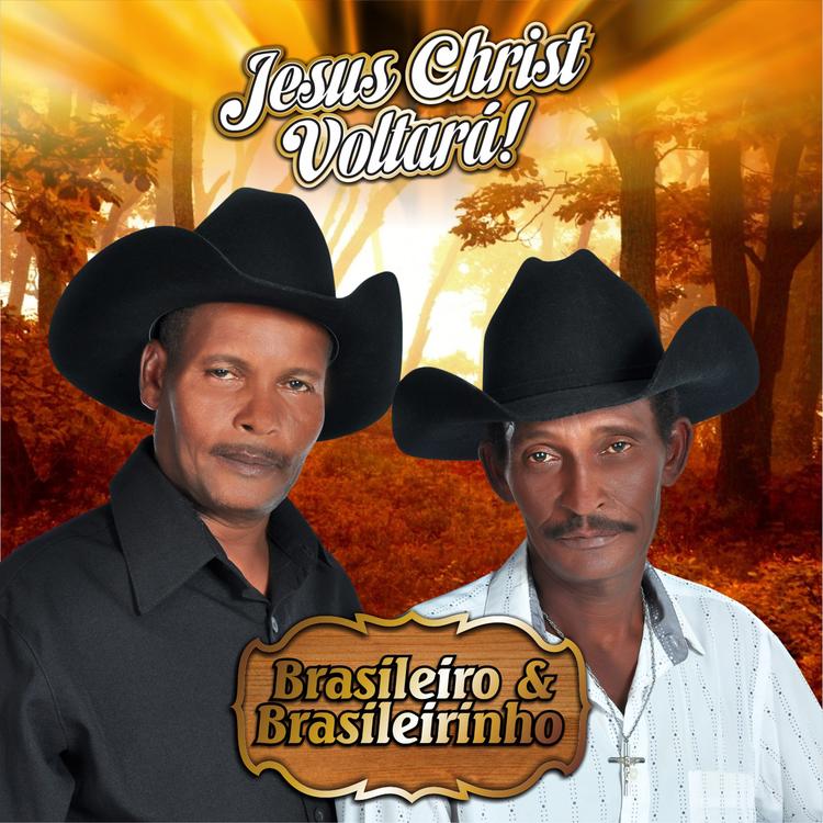 Brasileiro & Brasileirinho's avatar image