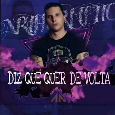 Diz Que Quer de Volta By ARTHUR NETTO's cover