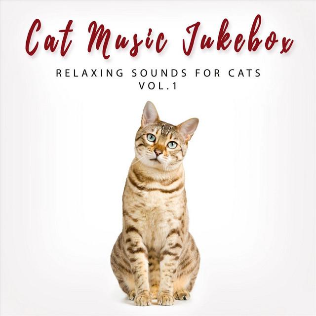 Cat Music Jukebox's avatar image