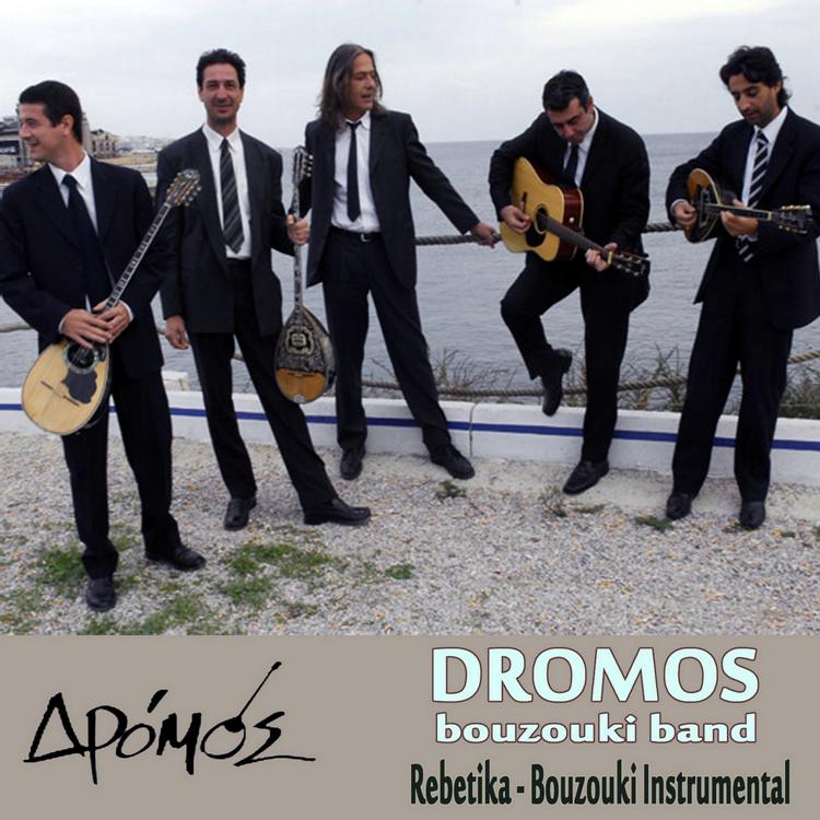 DROMOS bouzouki band's avatar image