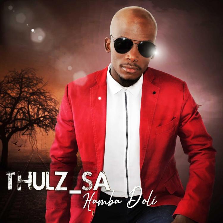 Thulz SA's avatar image