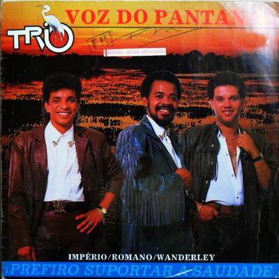 Trio Voz do Pantanal's cover