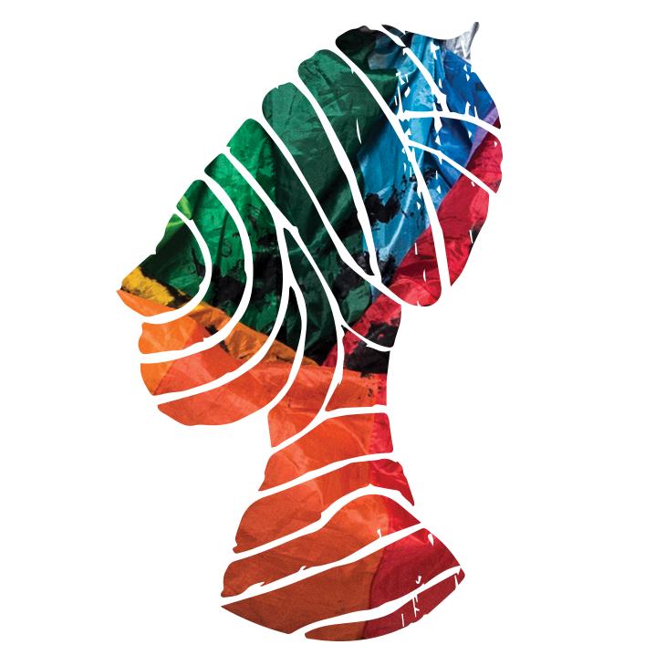 Nômade Orquestra's avatar image