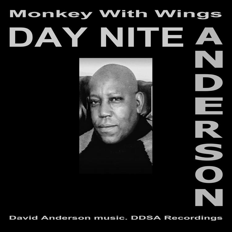 Day Nite Anderson's avatar image