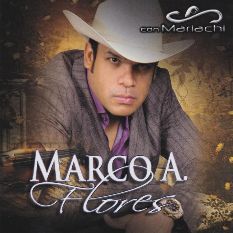 Marco A. Flores's avatar image