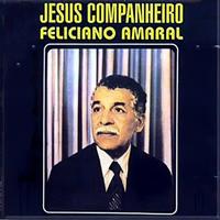 Feliciano Amaral's avatar cover