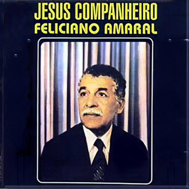 Feliciano Amaral's avatar image