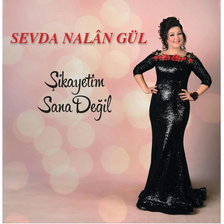 Sevda Nalan Gül's avatar image