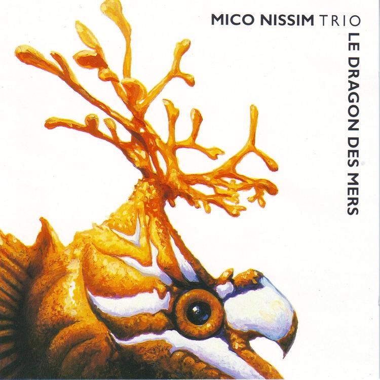 Mico Nissim's avatar image