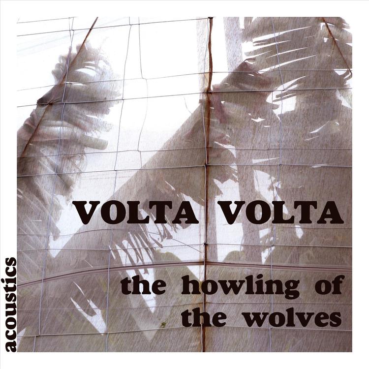 Volta Volta's avatar image