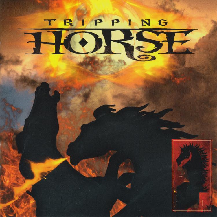 Tripping Horse's avatar image