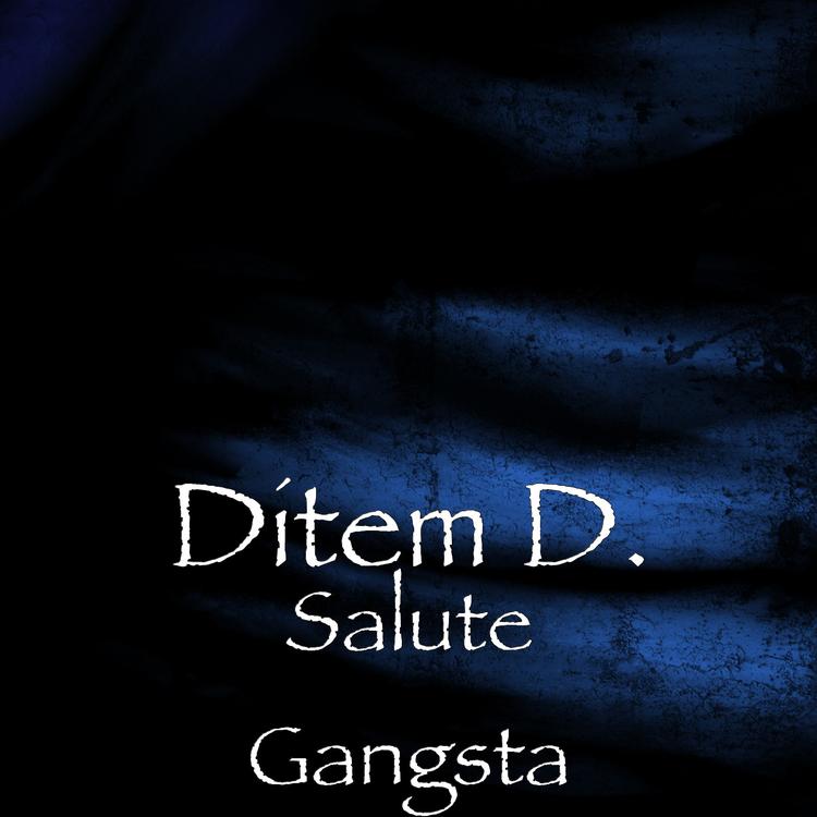 Ditem D.'s avatar image