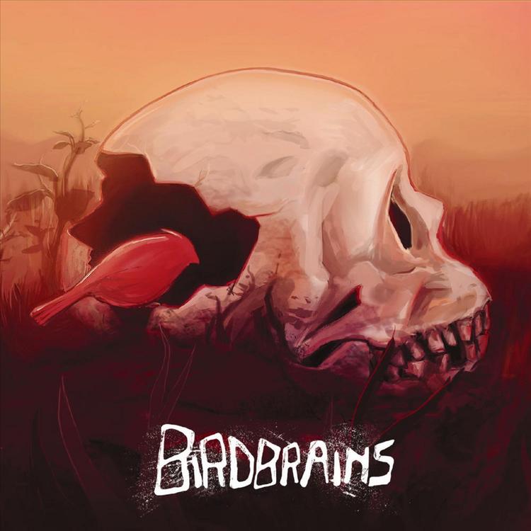 Birdbrains's avatar image