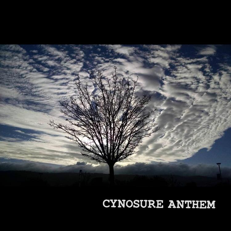 Cynosure Anthem's avatar image