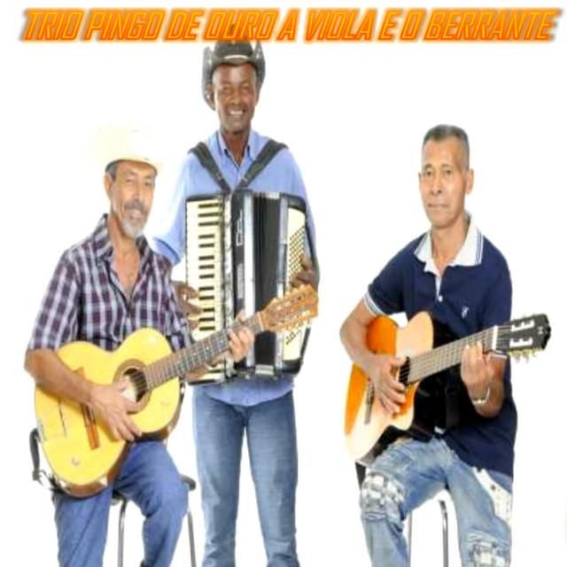 Trio Pingo de Ouro's avatar image