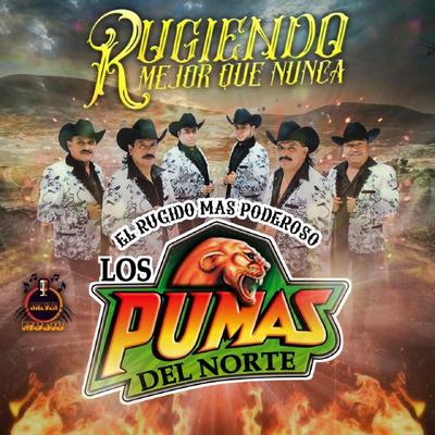 Me Gusta la Buena Vida By Los Pumas Del Norte's cover