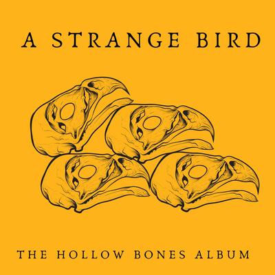 A Strange Bird's cover