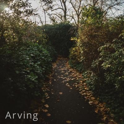 Singularity By Arving's cover