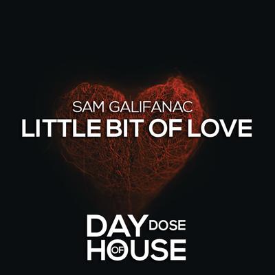 Little Bit Of Love By Sam Galifanac's cover