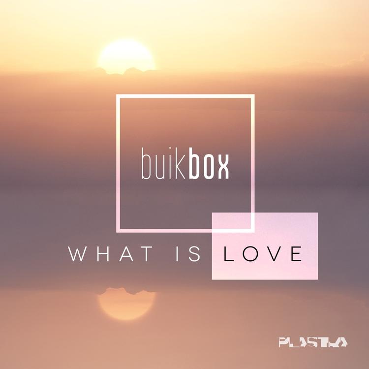 Buik Box's avatar image