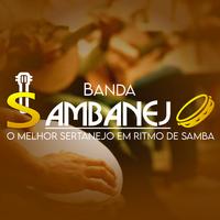 Banda Sambanejo's avatar cover