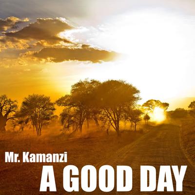 Don't Run (Original Mix) By Mr. Kamanzi's cover