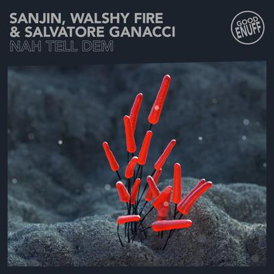 Nah Tell Dem By Salvatore Ganacci, Walshy Fire, Sanjin's cover