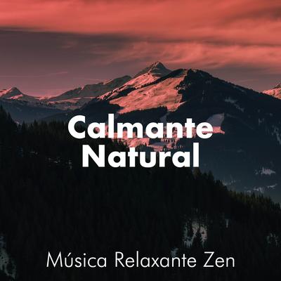 Calmante Natural - Música Relaxante Zen que pode reduzir o estresse's cover