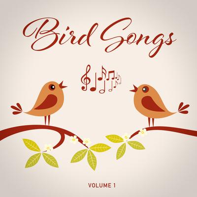 Orchard Oriole By Nature Sounds, Nature Sounds Nature Music, Nature Sound Collection's cover