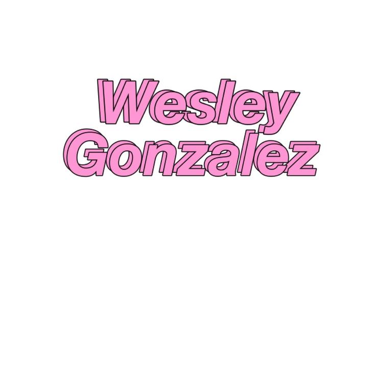 Wesley Gonzalez's avatar image