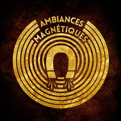 Ambiances Magnétiques - Slowly Drifting Electro-Acoustic Ambiences and Static Fields's cover