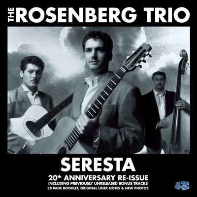 Chega De Saudade By The rosenberg trio, Stochelo Rosenberg's cover