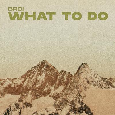 What to Do By BRDI's cover