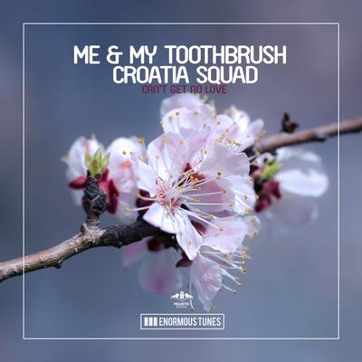 Can't Get No Love By Me & My Toothbrush, Croatia Squad's cover