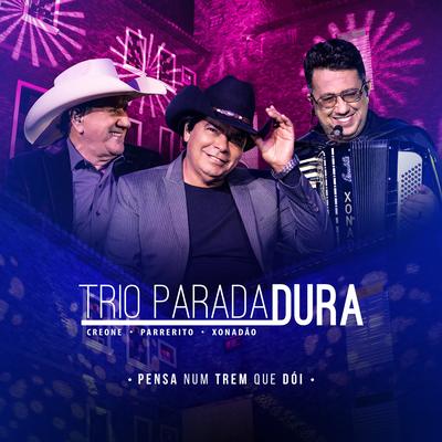 Seguindo Seus Passos (Ao Vivo) By Trio Parada Dura, Lucas Reis & Thácio's cover