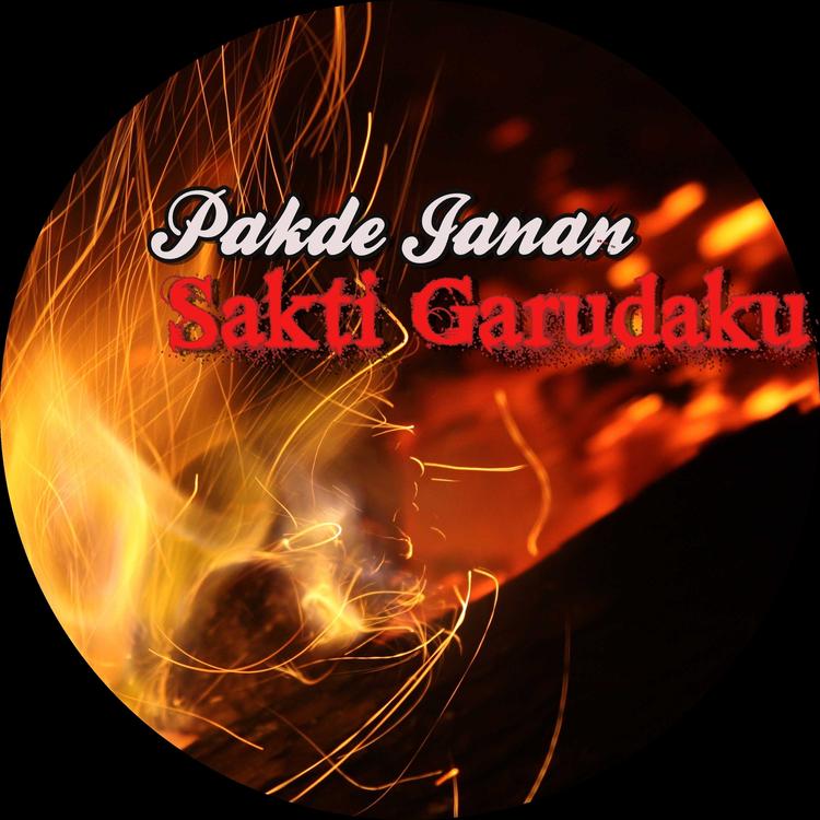 Pakde Janan's avatar image