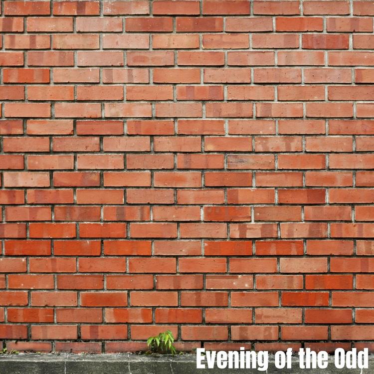 Evening of the Odd's avatar image