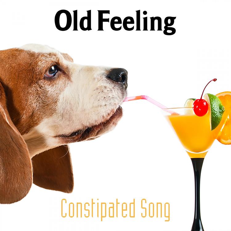 Constipated Song's avatar image
