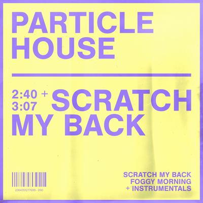 Foggy Morning (Instrumental Version) By Particle House's cover