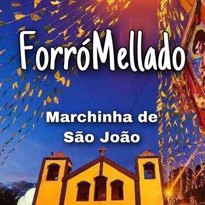 Forró Mellado's cover