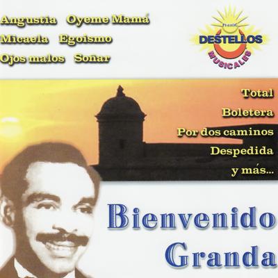Soñar By Bienvenido Granda's cover